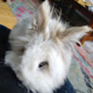 Meet your Posher, Garth